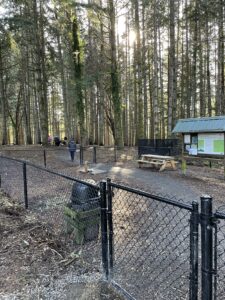 Strawberry Hill dog park